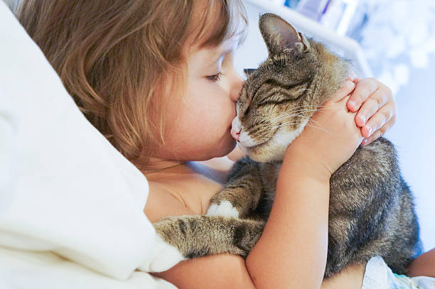 dziecko jest całować kota - affectionate zdjęcia i obrazy z banku zdjęć