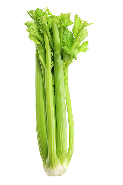 Celery Celery on White Background stick plant part photos stock pictures, royalty-free photos & images