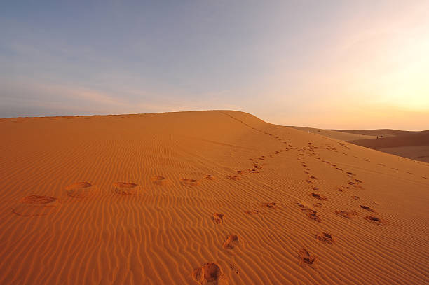 Deserts and Sand Dunes Landscape stock photo