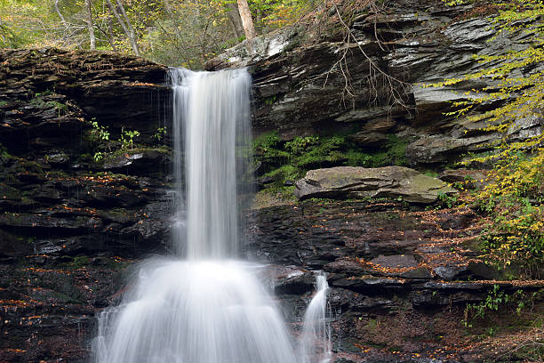 istock Waterfalls in Ricketts Glen State Park 450040451