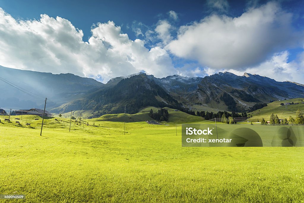 Verde hierba y a las montañas en nube - Foto de stock de Berna libre de derechos