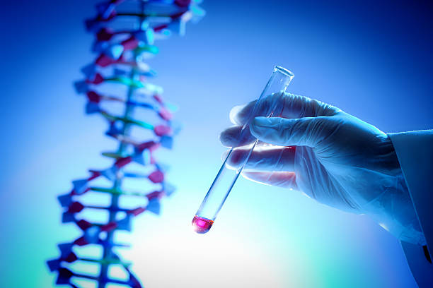 proyecto del genoma muestra genética con adn en tubo de ensayo primer plano - dna helix individuality science fotografías e imágenes de stock