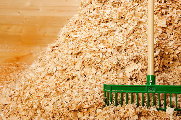 istock Pile  Bulk Wood Shavings for Horse Bedding 450041719