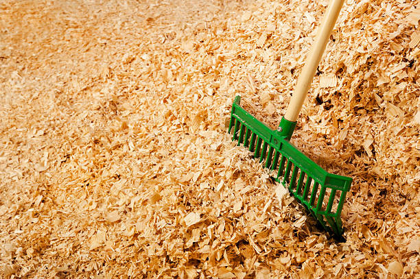 istock Pile  Bulk Wood Shavings for Horse Bedding 450041769
