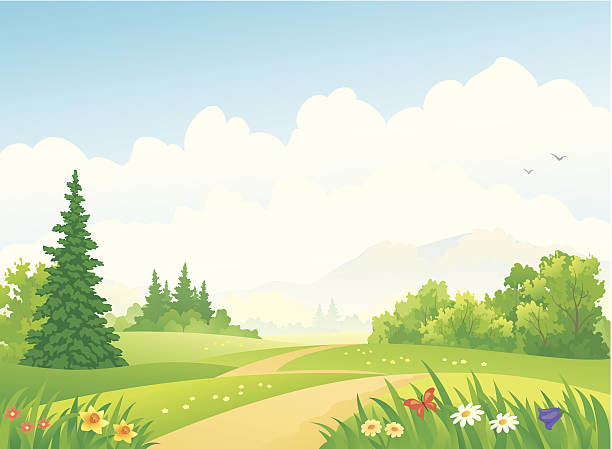 Forest landscape Vector illustration of a forest path at the mountains. tree clipart stock illustrations