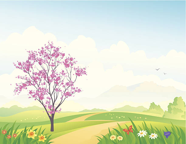 frühling landschaft - daffodil spring backgrounds sky stock-grafiken, -clipart, -cartoons und -symbole