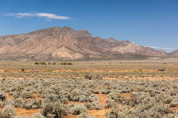 istock Flinders Ranges Landscape. South Australia 450048623