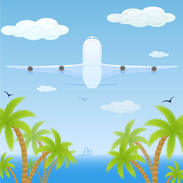 illustrations, cliparts, dessins animés et icônes de avion sur la mer - tropical climate airplane island hawaii islands