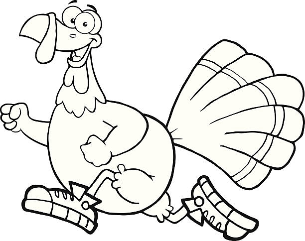 czarny i biały ptak szczęśliwy turcja kreskówka postać jogging - turkey white background bird thanksgiving stock illustrations