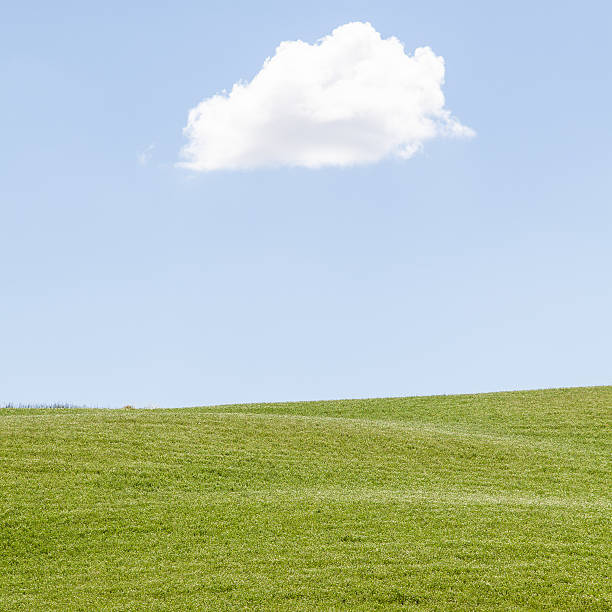 istock Green field in Tuscany 450062593