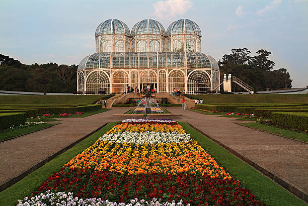 público jardim botânico de curitiba, brasil - jardim botânico - fotografias e filmes do acervo