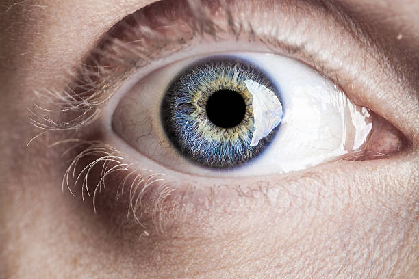 макро голубой глаз с много информ�ации - reflection women human eye macro стоковые фото и изображения