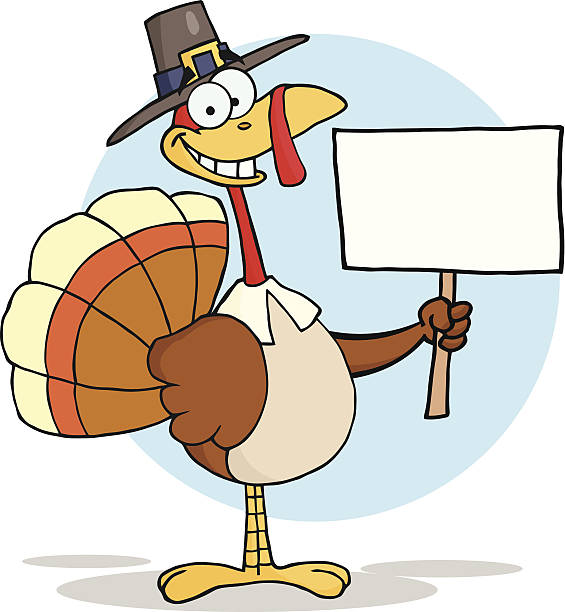 ilustrações, clipart, desenhos animados e ícones de turquia com chapéu de peregrino segurando uma placa em branco - turkey white background bird thanksgiving