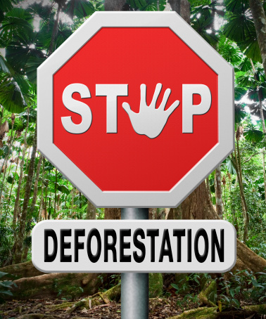 stop deforestation, protect tropical rainforest, the Amazon rain forest, the jungle in Africa Asia and Australia. Protection of the lung of the earth against illegal logging. Nature conservation to safe the planet.