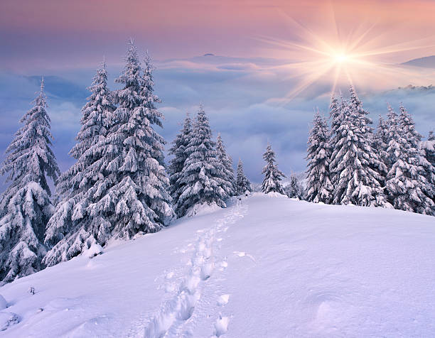 istock Foggy winter morning in the mountains 450071373