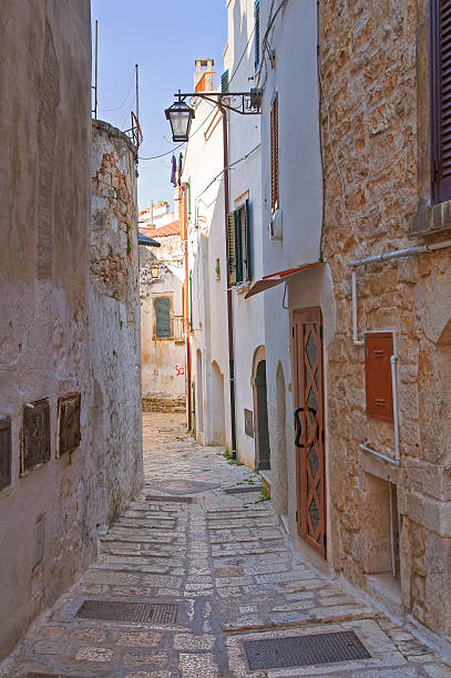 istock Alleyway. Conversano. Puglia. Italy. 450071399