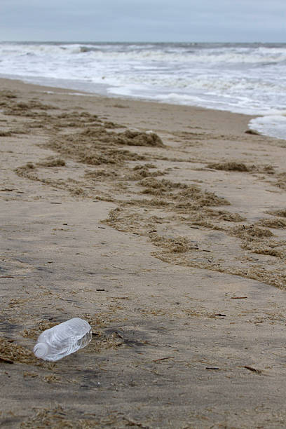 istock Plastic Bottle Trashing a Beach in the Outer Banks 450075143