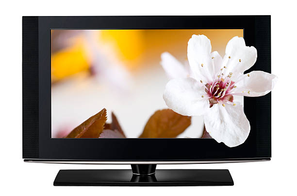 istock 3D television. TV LCD in HD 3 D. 450076473