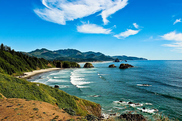 istock Beautiful Pacific coast in summer 450079153
