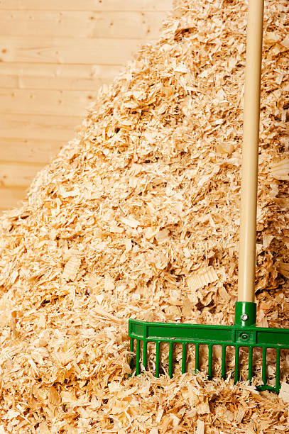 istock Pile  Bulk Wood Shavings for Horse Bedding 450086531