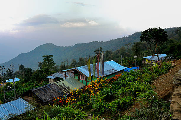 istock Houses with flowers and plants, Silerygaon Village, Sikkim 450093061