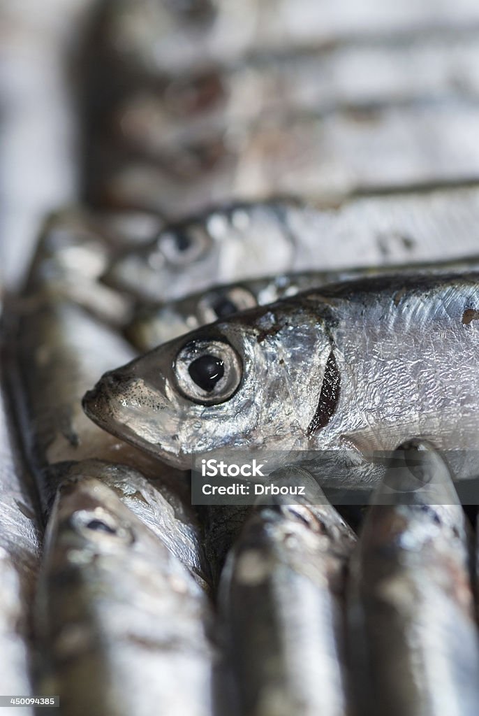 Poisson - Photo de Aliment cru libre de droits