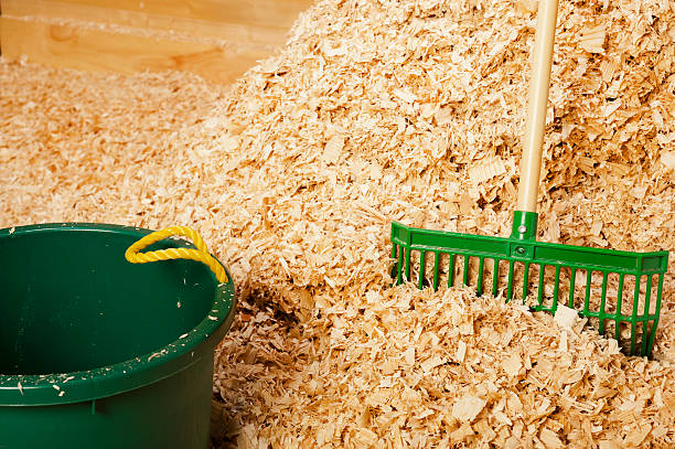 istock Pile  Bulk Wood Shavings for Horse Bedding 450094485