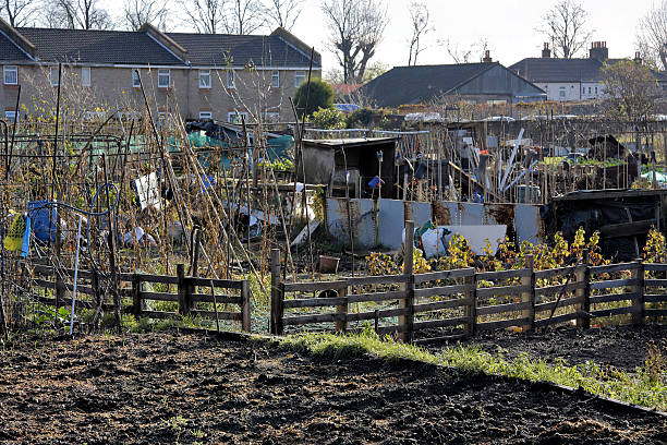istock Ramshackle garden allotments in the UK 450100383