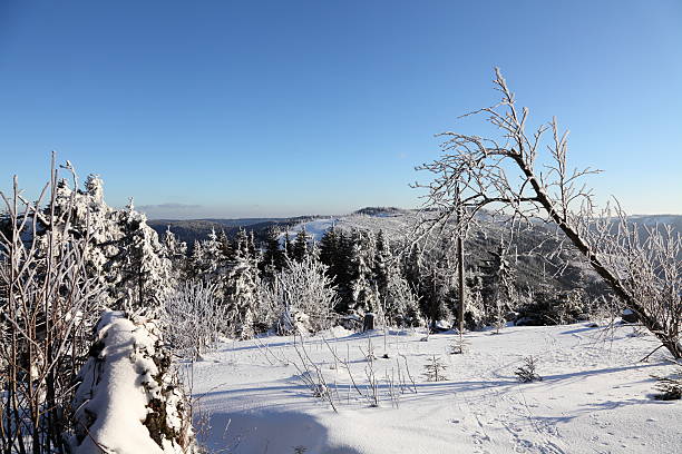 istock winter landcape with snow in Black Forest 450104707