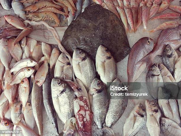 Foto de Seafoods No Mercado e mais fotos de stock de Alimentação Saudável - Alimentação Saudável, Animal morto, Calamar