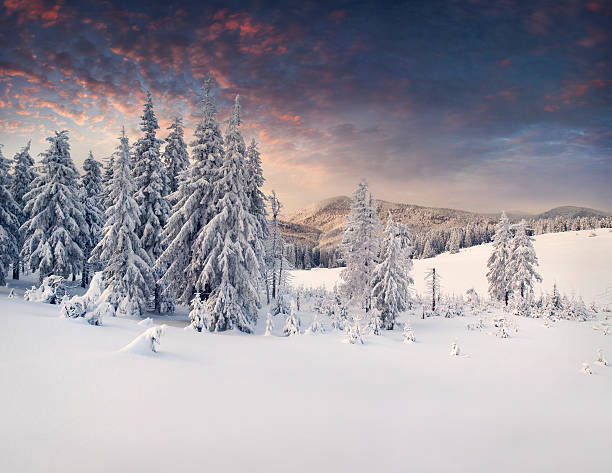 istock Beautiful winter landscape in the mountains. Sunset 450115723