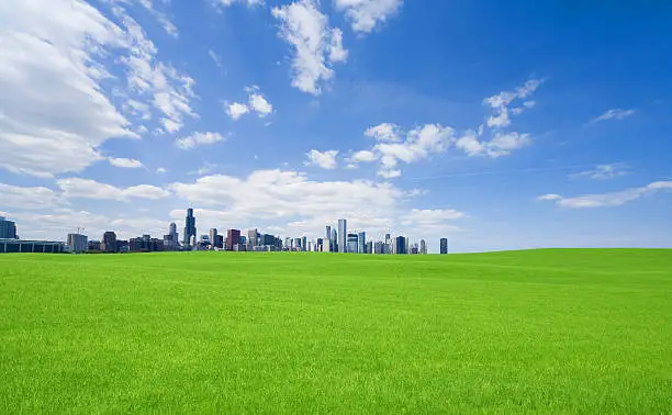 Photo of Green grass and  chicago downtown