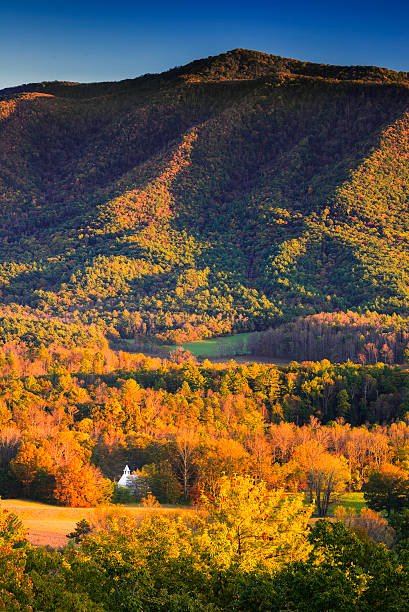istock Cade's Cove at Sunset 450118139