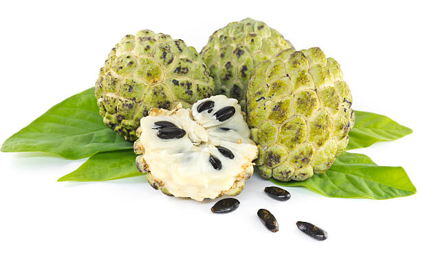 Custard apple Custard apple and leaves on white background annonaceae stock pictures, royalty-free photos & images