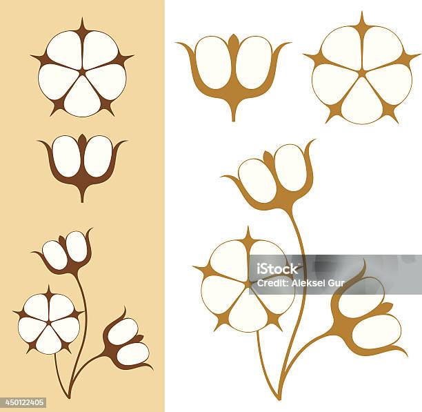 Cotton Stock Illustration - Download Image Now - Agriculture, Autumn, Boll