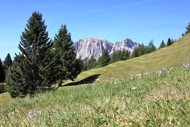 alpes dolomíticos en south tyrol - berglandschaft fotografías e imágenes de stock