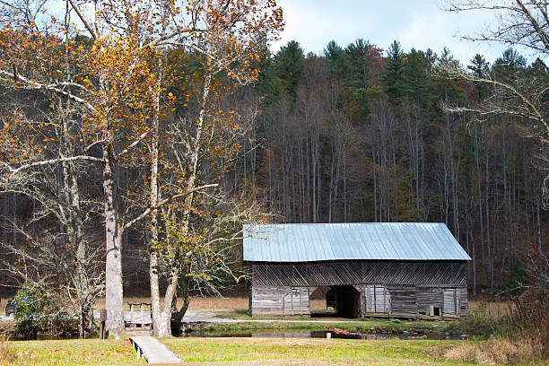 istock Caldwell Barn, Cataloochee 450130981