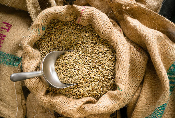 istock Raw Coffee Seeds Bulk Scoop Burlap Bag Agriculture Bean 450137415