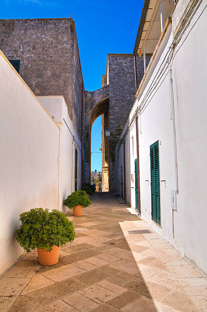 istock Alleyway. Palmariggi. Puglia. Italy. 450138433