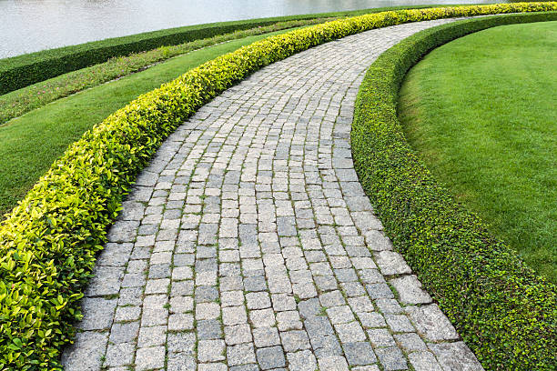 il cammino percorso di blocchi di pietra con erba verde - sidewalk brick street footpath foto e immagini stock