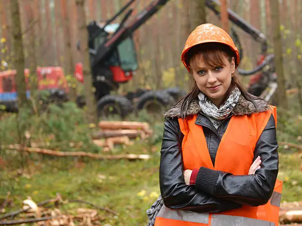 Young and beautiful forestry engineer at work