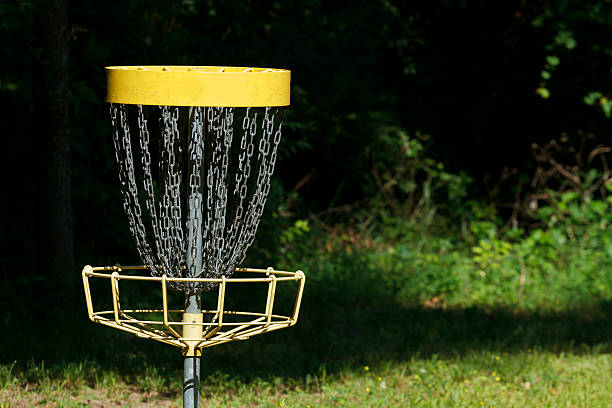 istock Disc Golf Goal Target In The Woods 450158373