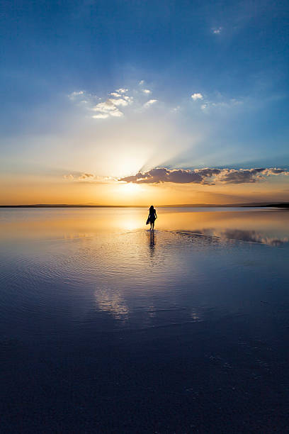 istock Silhouette of a lady walking by herself on a beach 450159855
