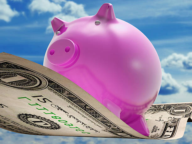 istock Dollars Note Pig Shows Prosperity And Investment 450160487