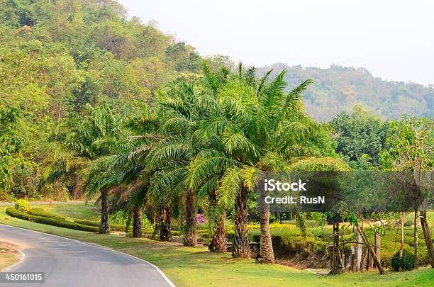 Estrada De Asfalto - Fotografias de stock e mais imagens de Ajardinado - Ajardinado, Alfalto, Ao Ar Livre