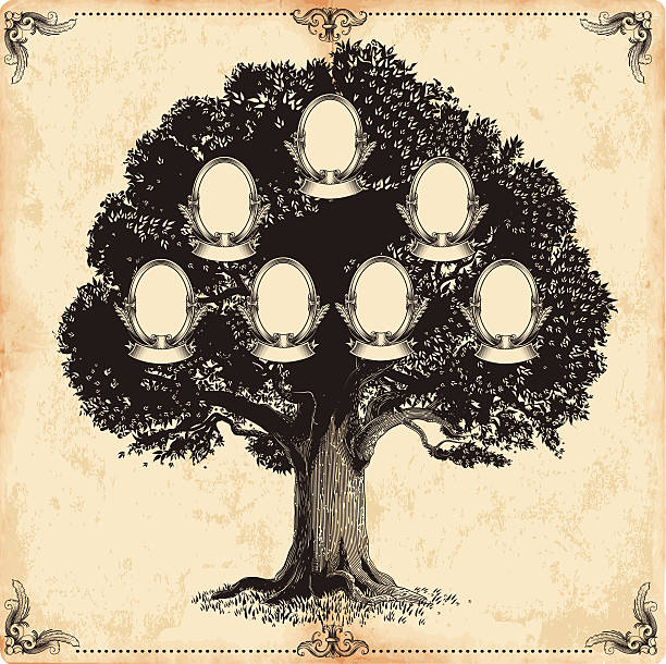Family tree vector art illustration