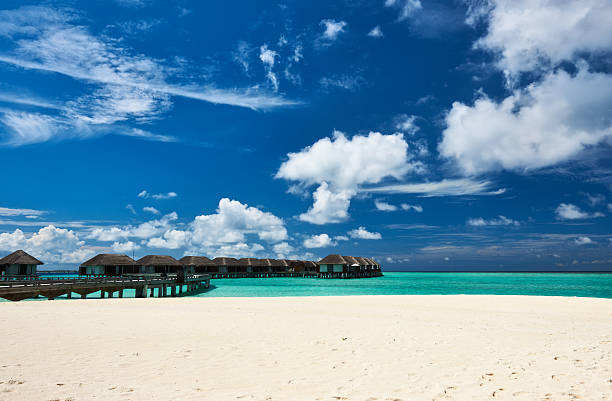 istock Beautiful beach with water bungalows 450166615