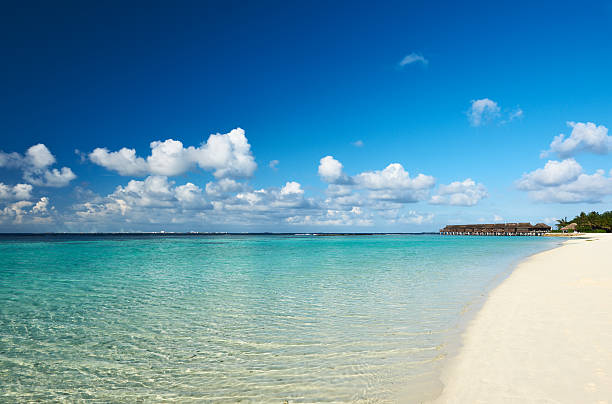 istock Beautiful beach with water bungalows 450166699