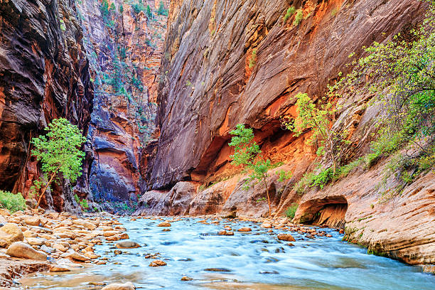 istock Shallow rapids of the famous Virgin River 450167151