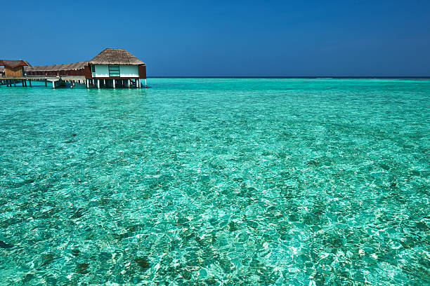istock Beautiful beach with water bungalows 450167735